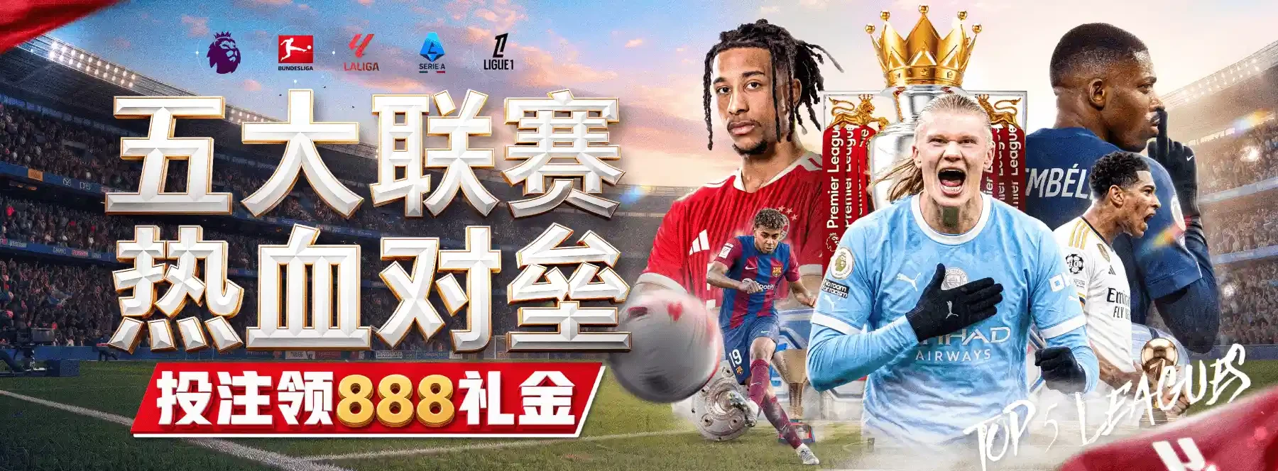 体育观赏精选图片